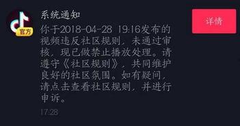 最新抖音爆料简介大全,揭秘热门短视频背后的故事与幕后花絮  第1张