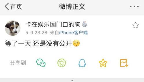 爆料吃瓜事实大爆炸视频,视频爆料背后的真相与争议